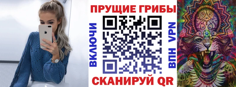 Купить закладки  Кстово  Галлюциногенные грибы GOLDEN TEACHER 